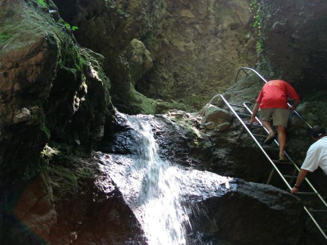 DSC05845 (Medium)